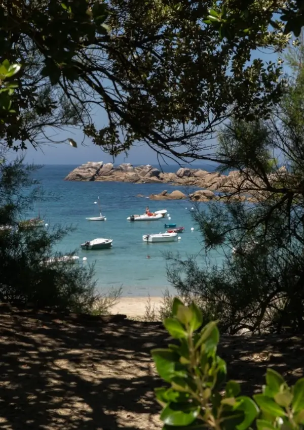 Recherche ton binôme pour le Swimrun Côte des Légendes (Kerlouan - Plounéour-Brignogan-plages)