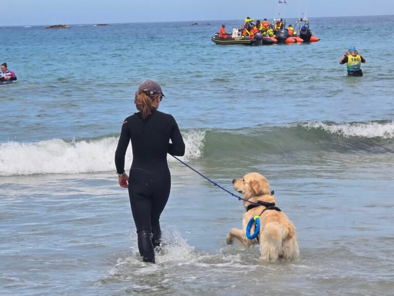 Galerie Swimrun