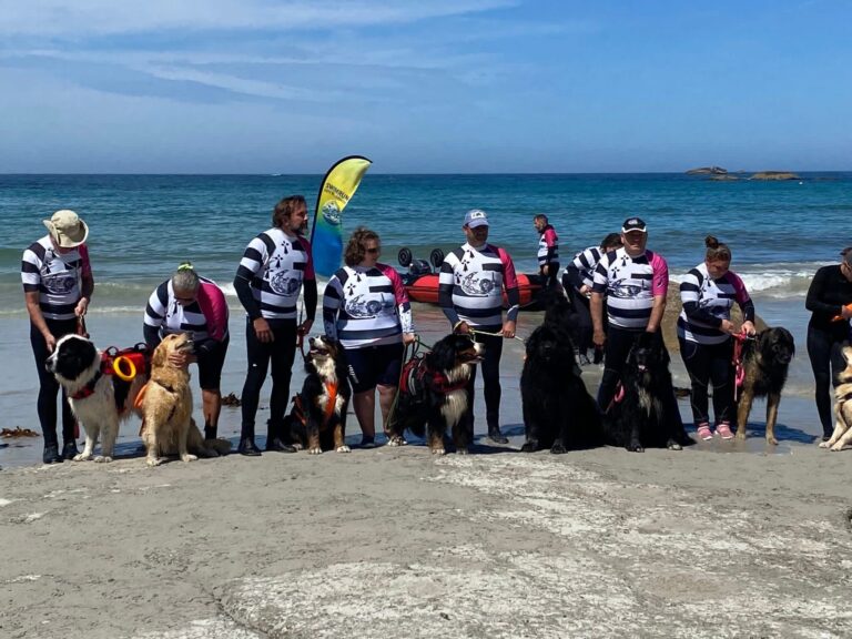 Galerie Swimrun