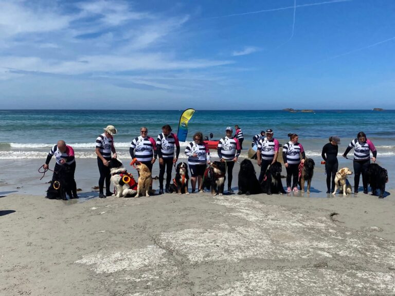 Galerie Swimrun