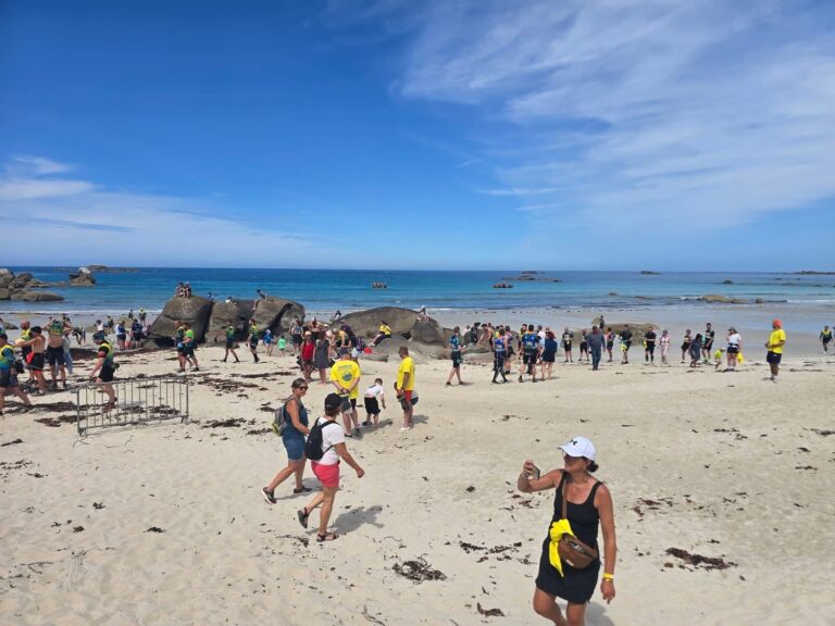 Galerie Swimrun