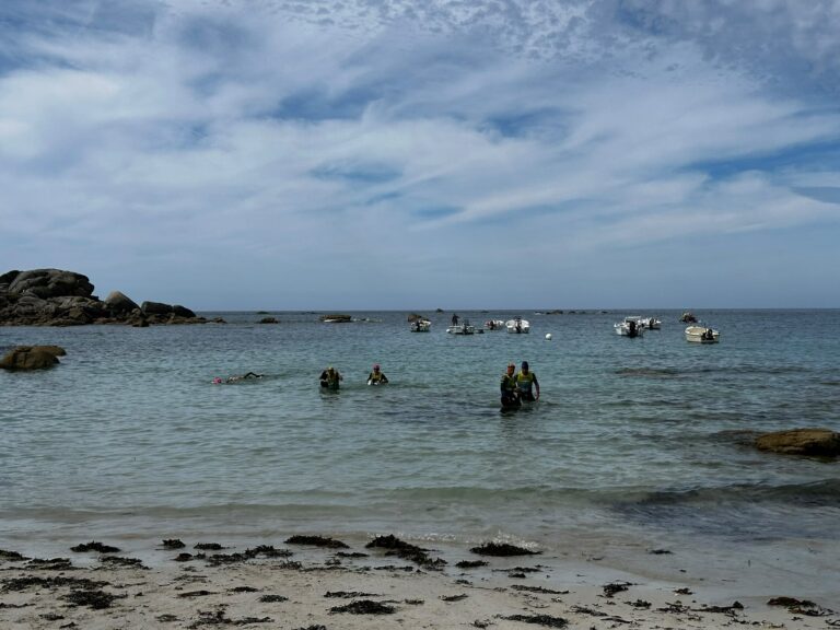Galerie Swimrun