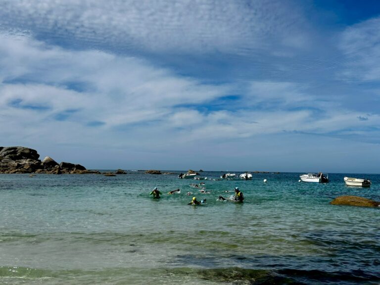Galerie Swimrun