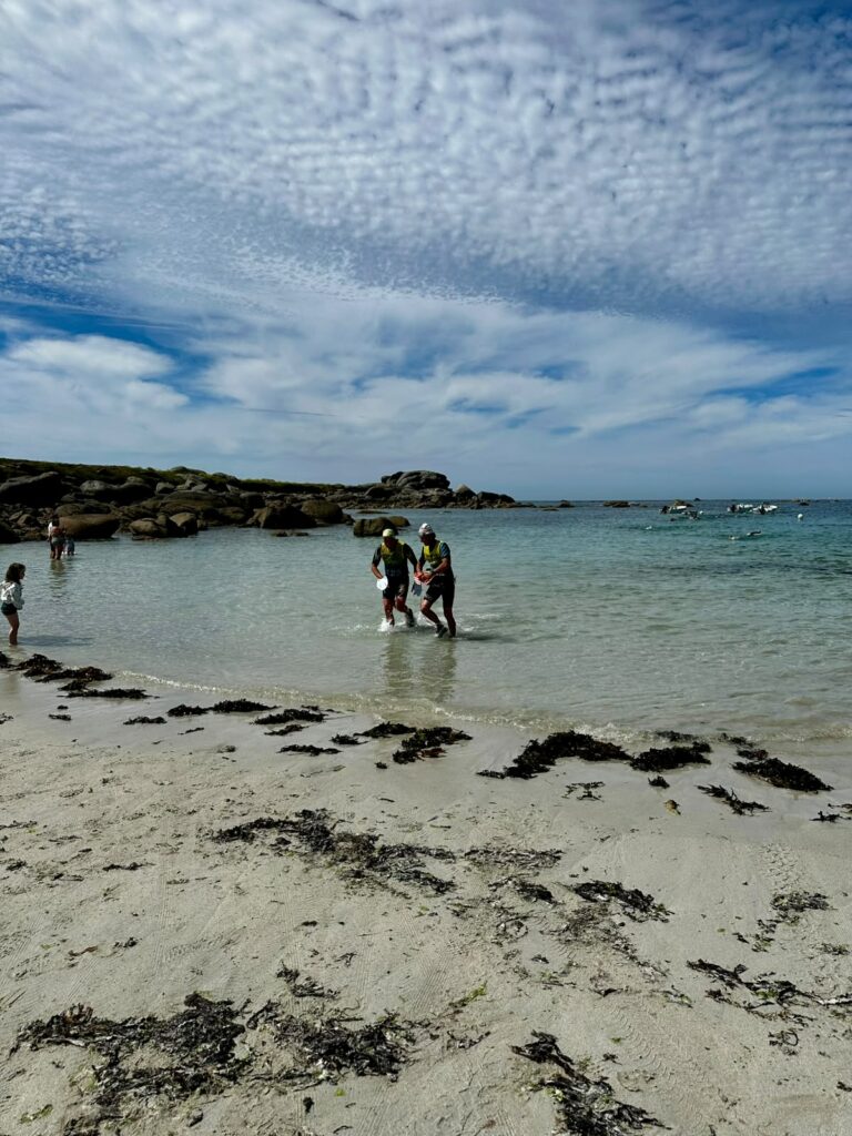 Galerie Swimrun