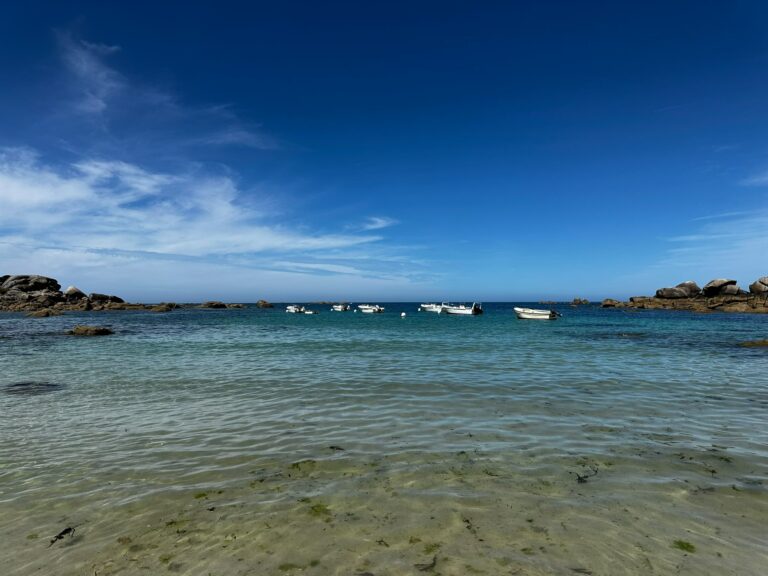 Galerie Swimrun