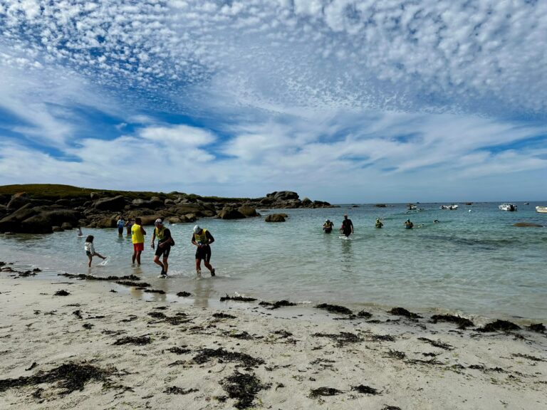 Galerie Swimrun