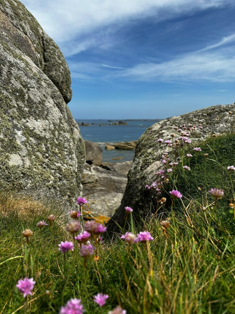Galerie Swimrun