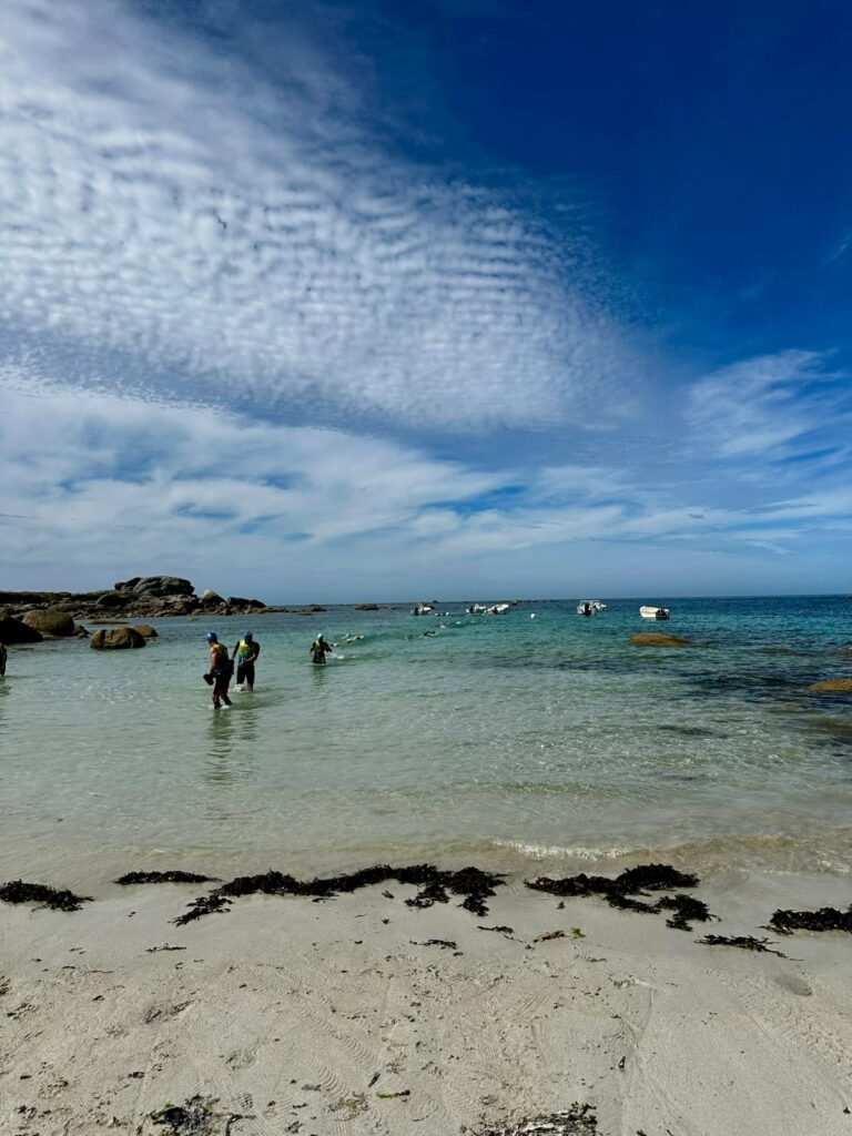 Galerie Swimrun