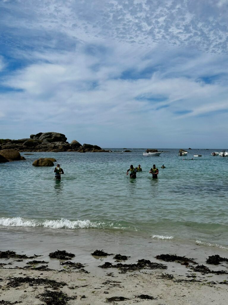 Galerie Swimrun