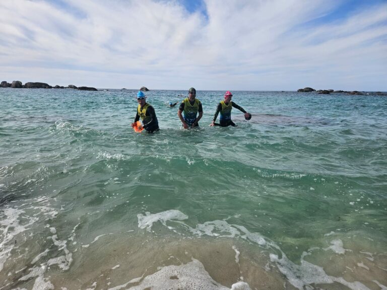 Galerie Swimrun