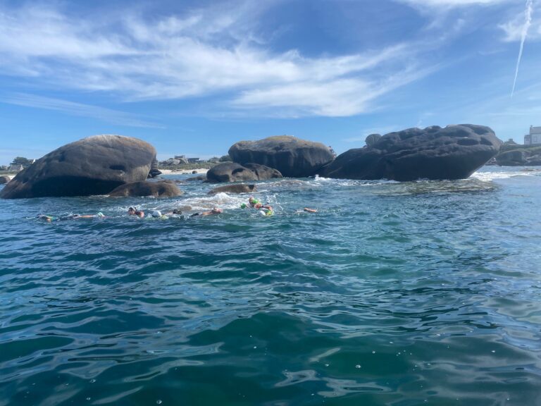 Galerie Swimrun
