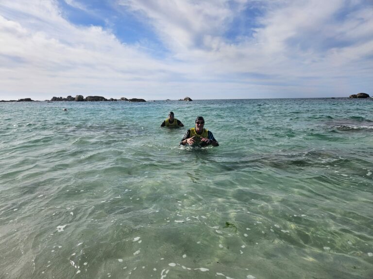 Galerie Swimrun