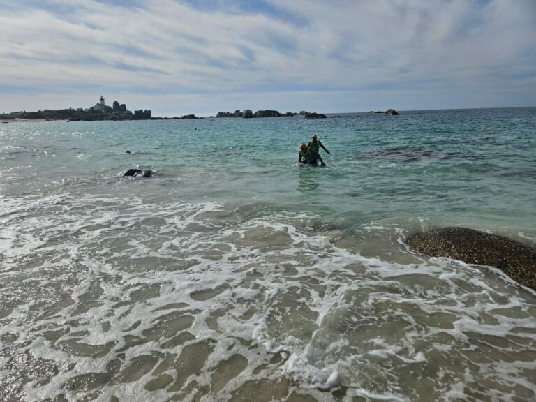 Galerie Swimrun